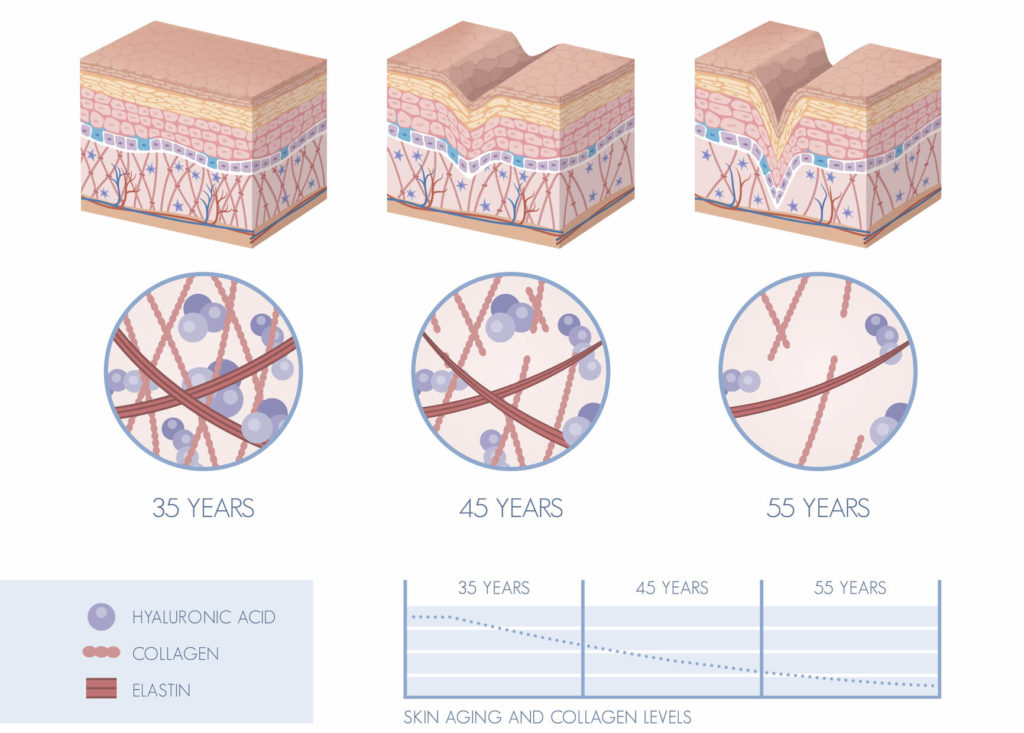 Even Your Eyeballs Lose Collagen as You Age