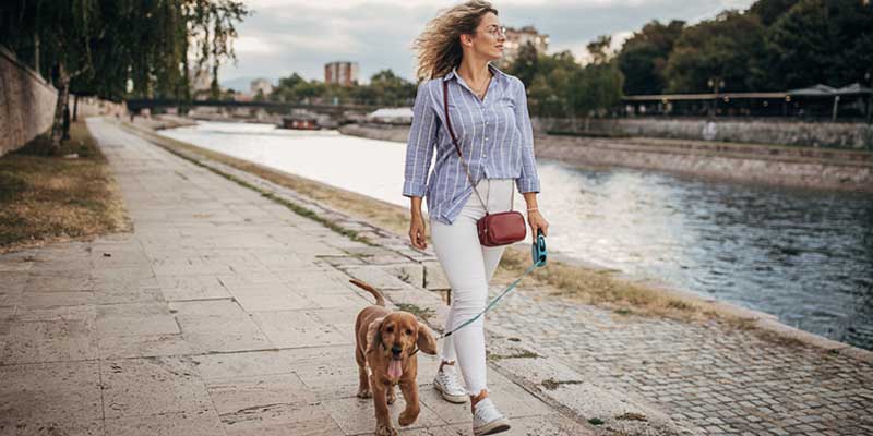 A woman walks her dog along the water’s edge to relieve stress