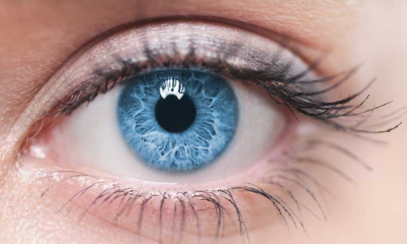 Close-up of blue eye with long, dark eyelashes