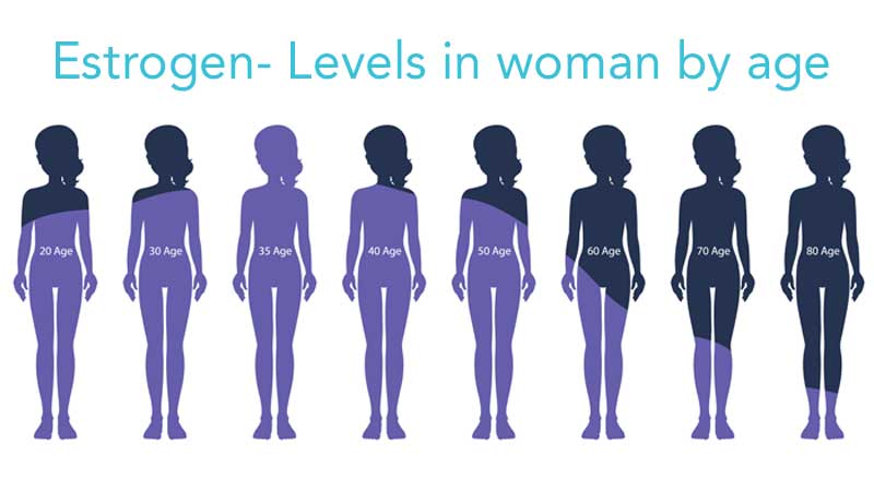 Estrogen levels in women at various ages