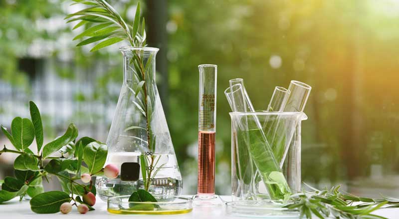 Greenery and liquid solutions attractively placed in test tubes